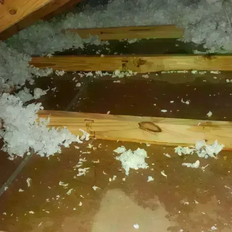 Attic Water Damage in Central Valley, NY